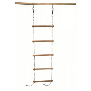 ���� ����� �� ������ 5 �����