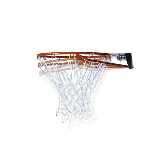 ���� �� ���� ������� 48 ���� - Lifetime Adjustable Portable Basketball Hoop