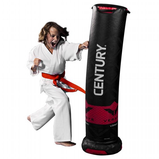 �� ������ ���� (���) ������ Century� Versys V.Spar.1