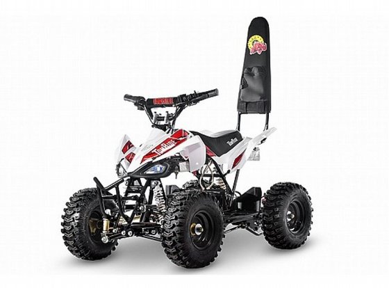 �������� ����� 24V ������ - TR240 Tom Ride