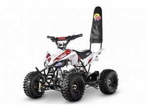 �������� ����� 24V ������ - TR240 Tom Ride