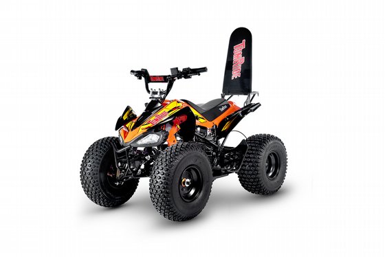�������� ����� 48V ������ - TR290 Tom Ride
