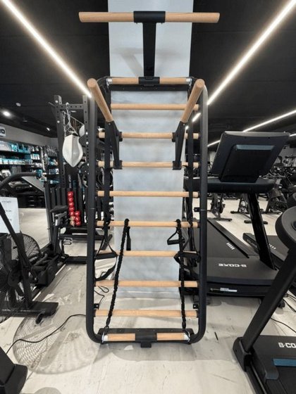 ���� ����� ����� B-CORE DW-1