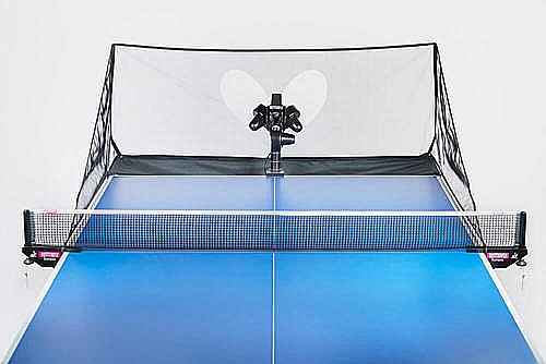 ����� ������ ���� ����� ������� Butterfly Amicus Start