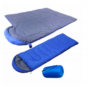 �� ���� ����� DS-320