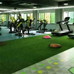 ���� ����� ���� ���� ���X��� 20 �"� ����� ��� ������� premium
