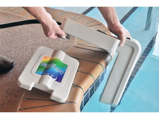 ����� ������ ������� ������ POOL SENTRY �� ����