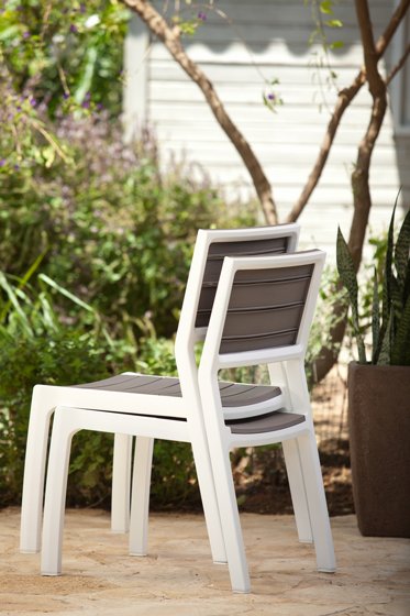 �� ������ - ����� ������ �-6 ����� ������ HARMONY SET ���