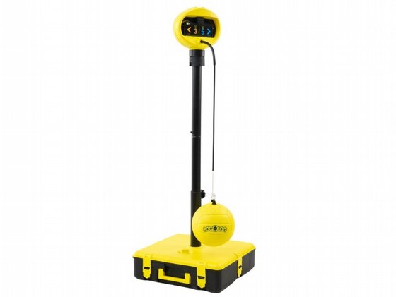 ���� �������