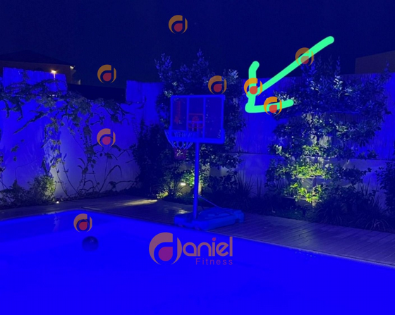 ���� �� ������ CANADA POOL ����