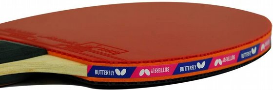 ���� ������� ������ ���� ����� BUTTERFLY TIMO BOLL 3000