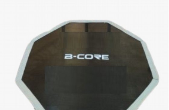 ���� ����� ���������� B-CORE R4503 - ���� ���� ������