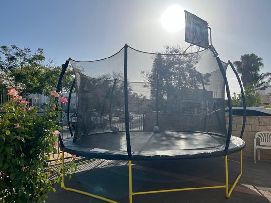 ��������� 4.2 ��� 14 ��� - ����� AMIGO - ��� Premium - ������ ������, �� ������ �����