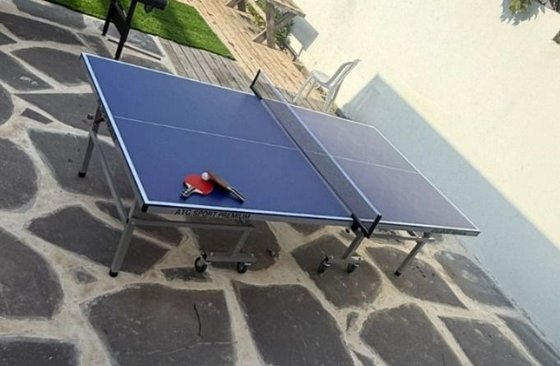 ����� ���� ��� 15 �"� TABLE TENNIS ISRAEL Outdoor ATG SPORT - ���� ������
