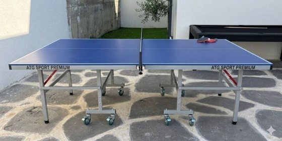 ����� ���� ��� 15 �"� TABLE TENNIS ISRAEL Outdoor ATG SPORT - ���� ������